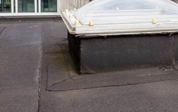 disadvantages of Shobdon flat roofs